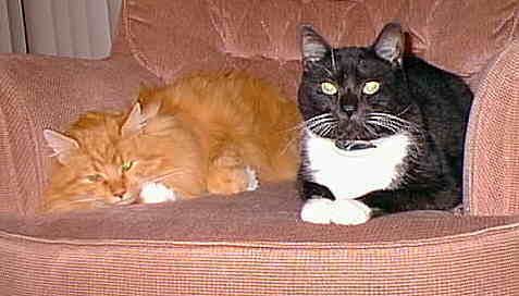 bam&fred.jpg (15051 bytes)