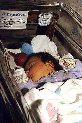 crib.jpg (15785 bytes)