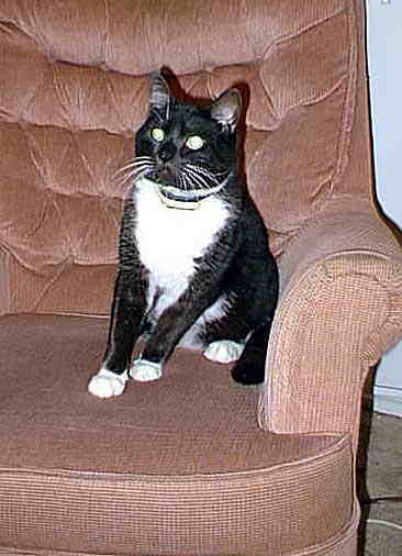 fred2.jpg (20979 bytes)